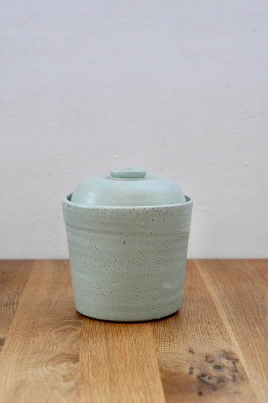 קדירת התססה , כבישה או החמצה בצבע מנטה