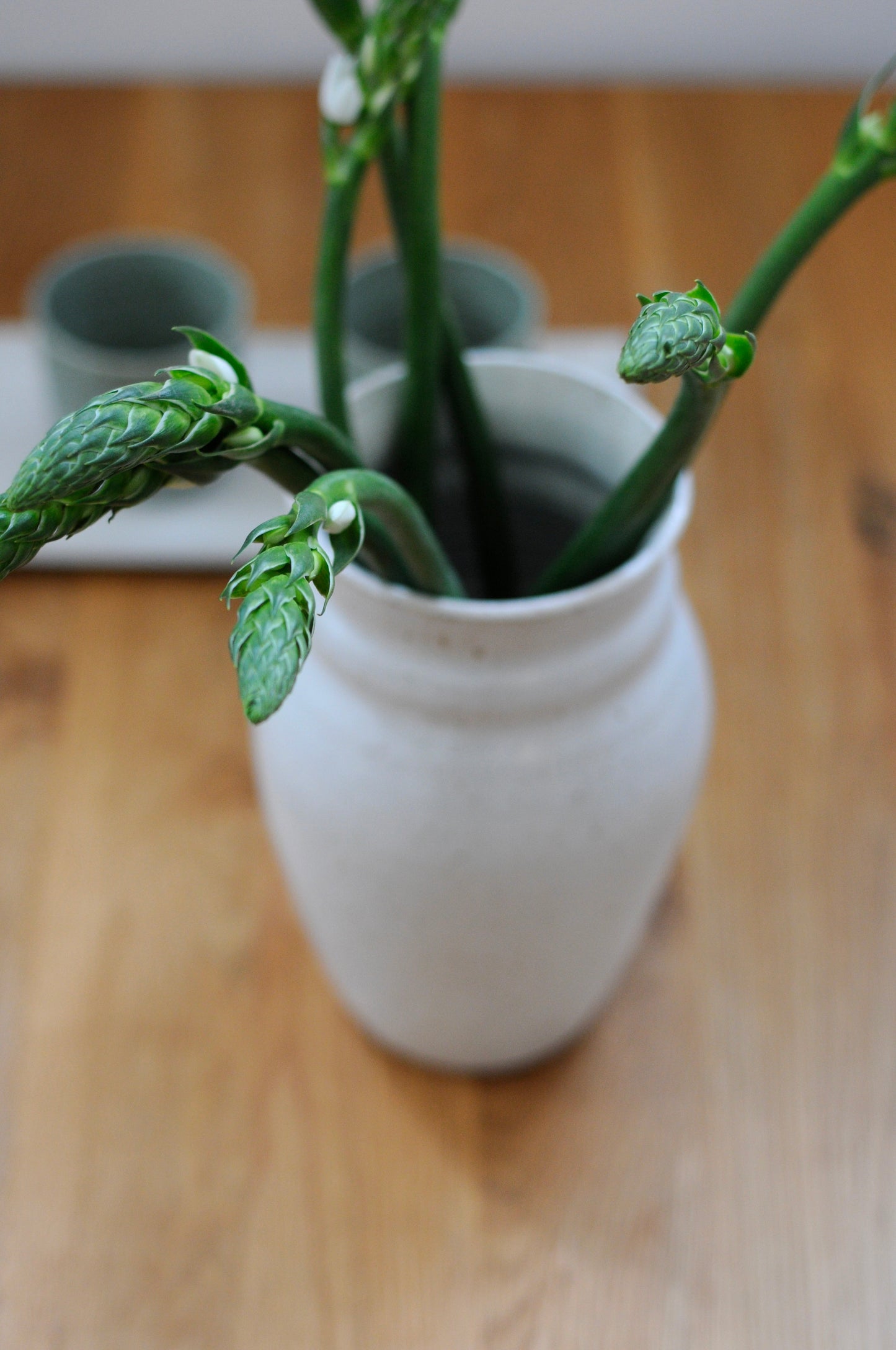 ואזה עם בזלת טחונה בגוף החימר