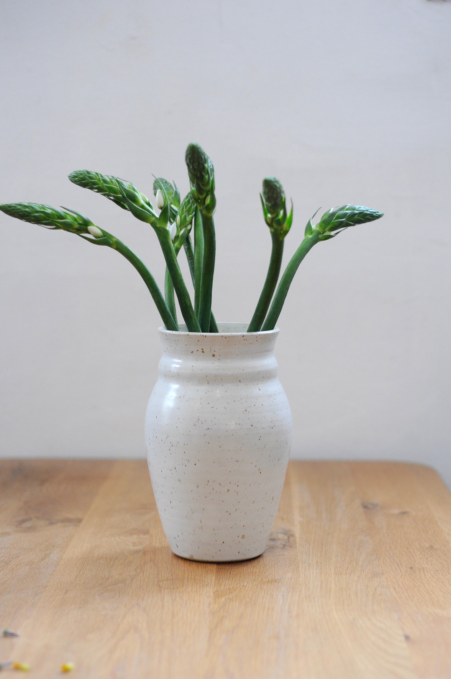 ואזה עם בזלת טחונה בגוף החימר